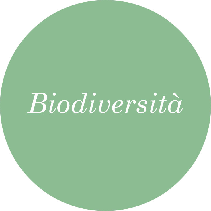 biodiversità vivaio