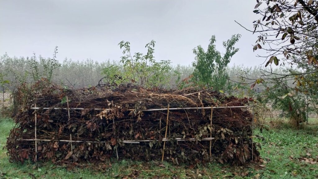 dead hedge