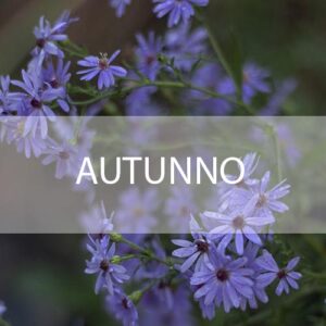 Autunno