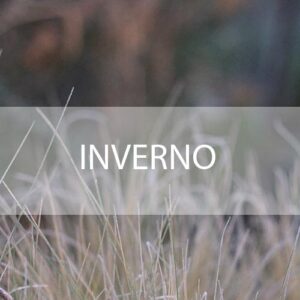 Inverno