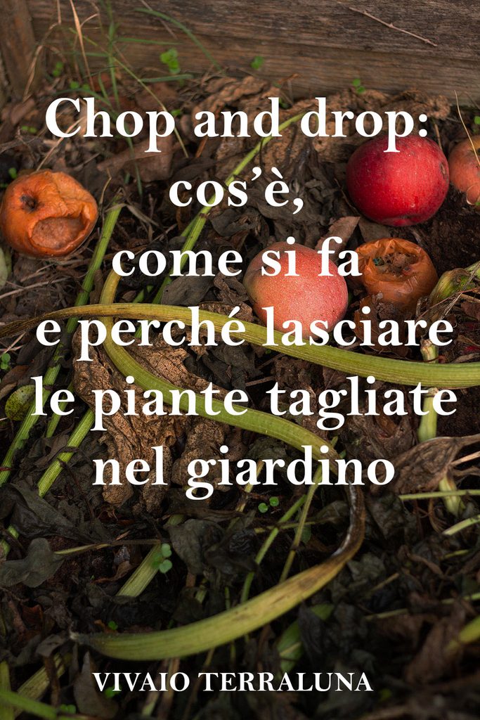 Chop and drop: cos’è, come si fa e perché lasciare le piante tagliate nel giardino
